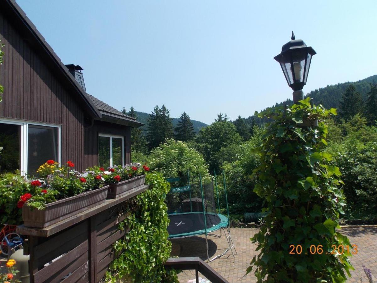 Lautenthal Gaestezimmer Haus Talblick מראה חיצוני תמונה