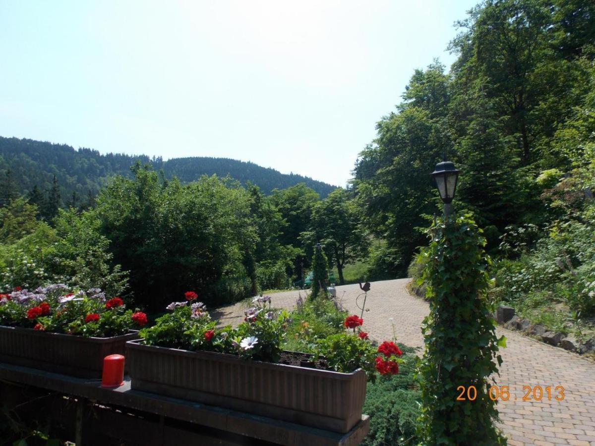 Lautenthal Gaestezimmer Haus Talblick מראה חיצוני תמונה